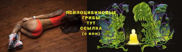 соль ск Алексеевка