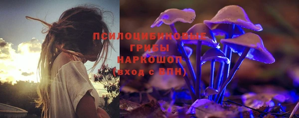 соль ск Алексеевка