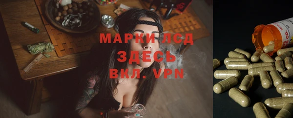 соль ск Алексеевка