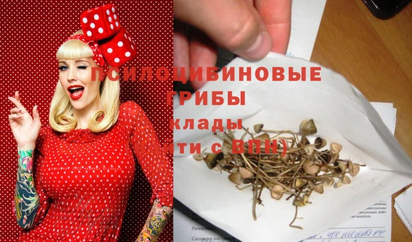 прущая мука Алзамай