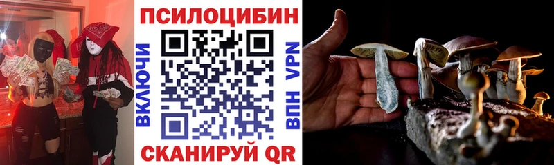 Псилоцибиновые грибы прущие грибы  Порхов 