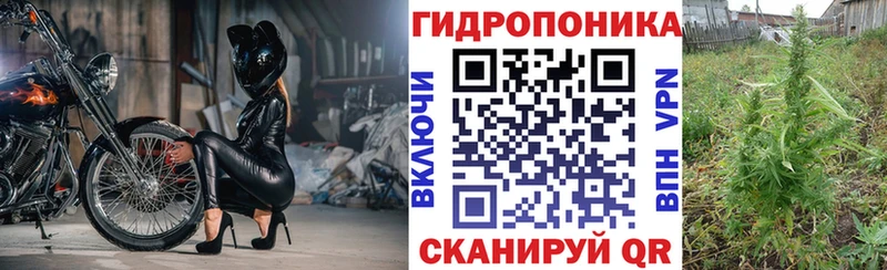 цены   Порхов  Конопля планчик 